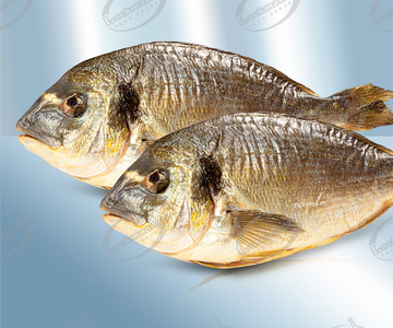 Dorade Royal ausgenommen, mit Kopf, geräuchert